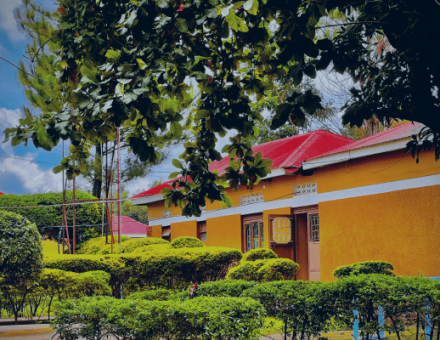 Welcome to Alpha Resort Hotel Lira Blog